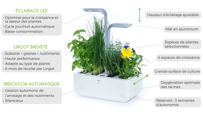 fonctionnement potager veritable