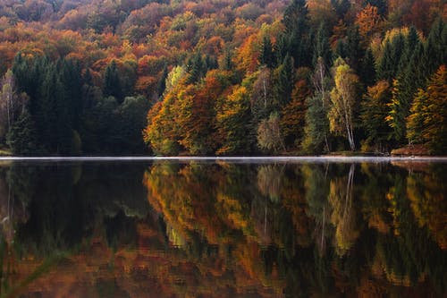 automne_17