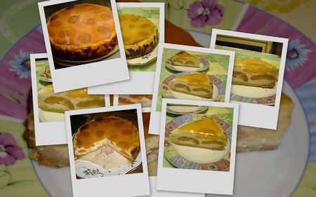 cheese_cake_abricot_2