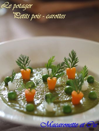 le_potager___petits_pois_carottes_5