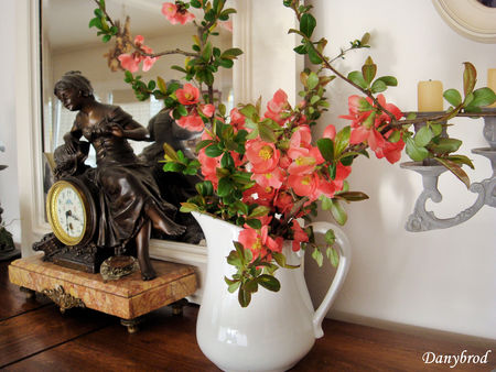 fleurs_ceris_jap3