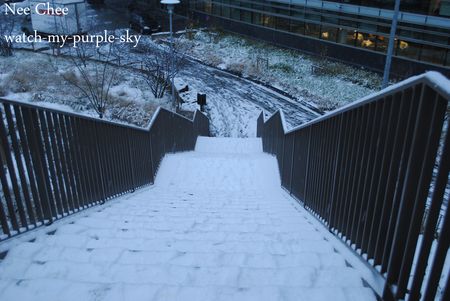 escalier_de_la_peur