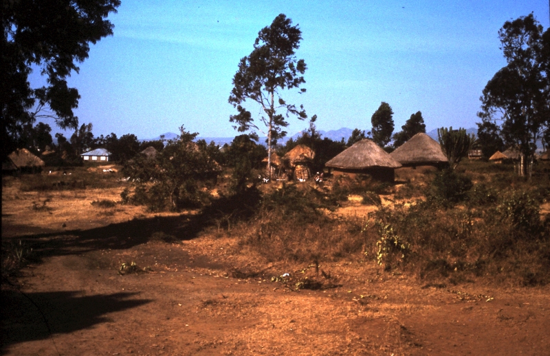 tanzanie 25