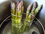 asperges_ricotta__5_