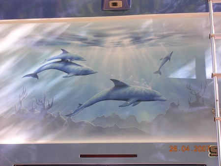 Back_Dolphin_Mural