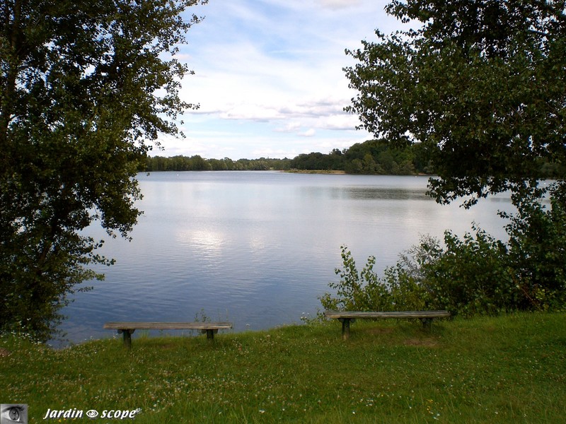 L'Ile Charlemagne à Orléans