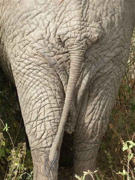 P1140052