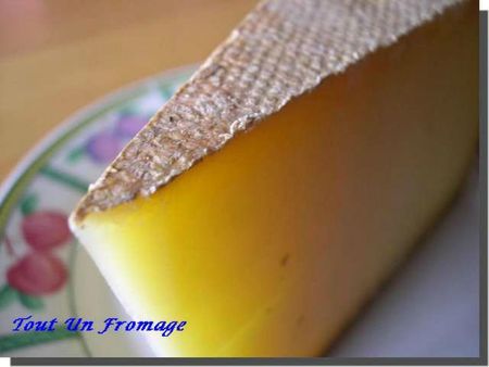 Comté