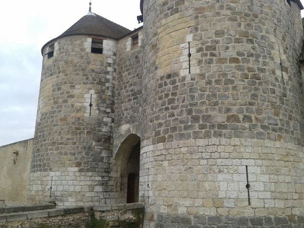 Château de Dourdan (2)