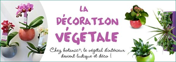 778x278_decoration_vegetale (1)