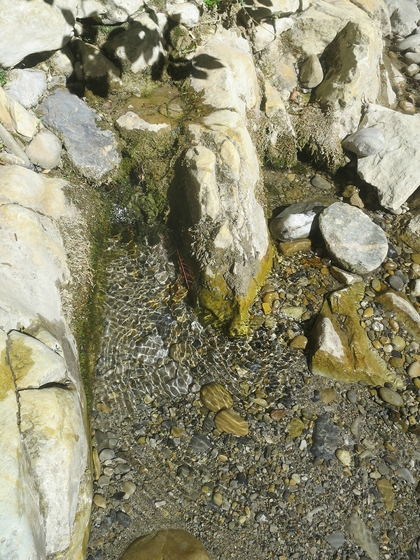 Bivouac découverte Juillet 17 (109)