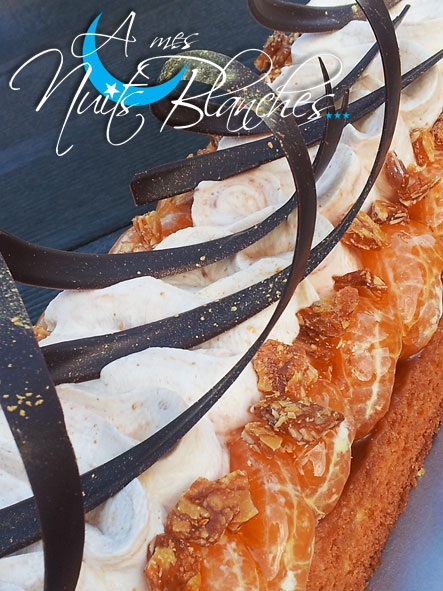TARTE-CLEMENTINES-18