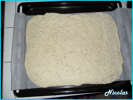 Pizza_roquefort_oignon_jambon_et_p_te_basilic____1_septembre_2011