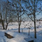 Ma_maison_divers4