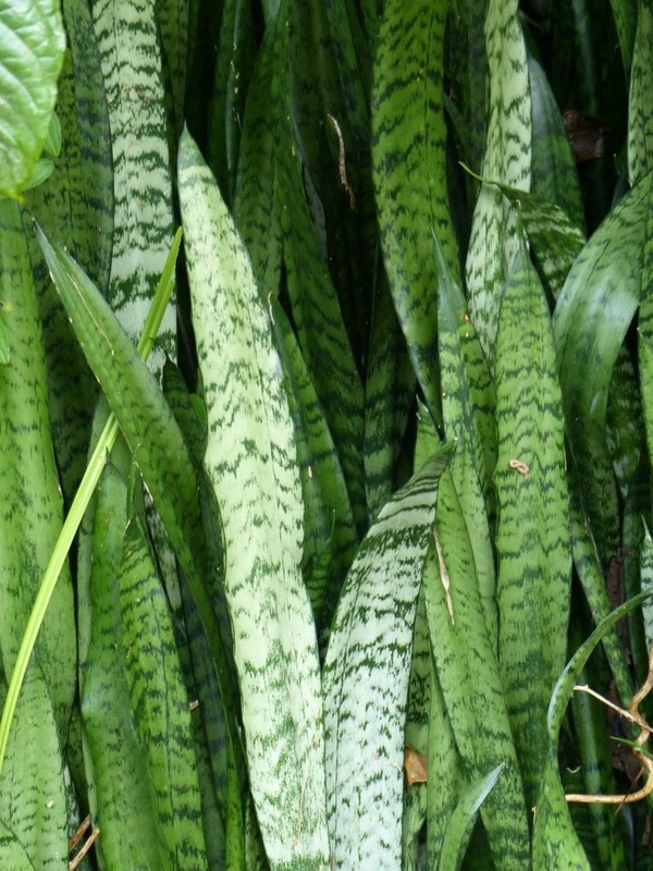 P1220878