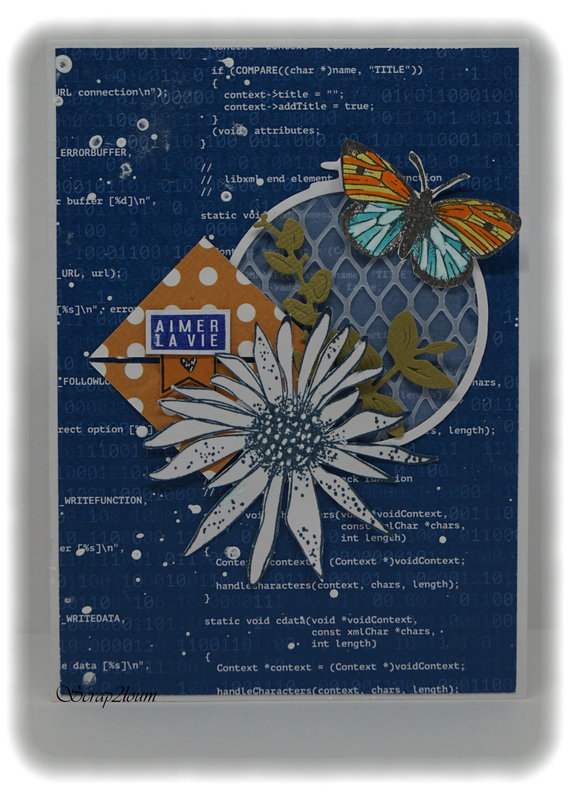 carte multi contraintes scrap2loum mai 21