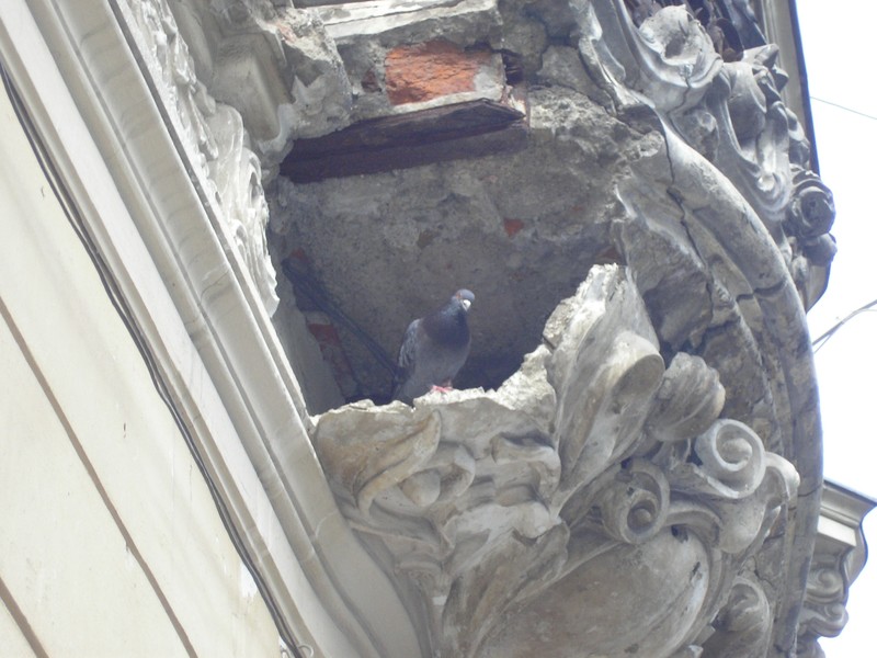 12, str. Biserica Amzei