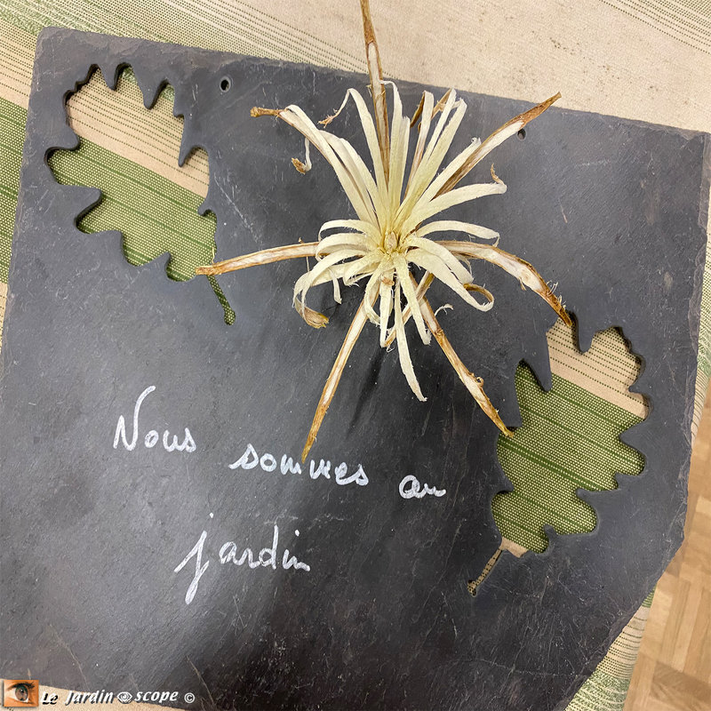 Atelier-Etiquettes-2