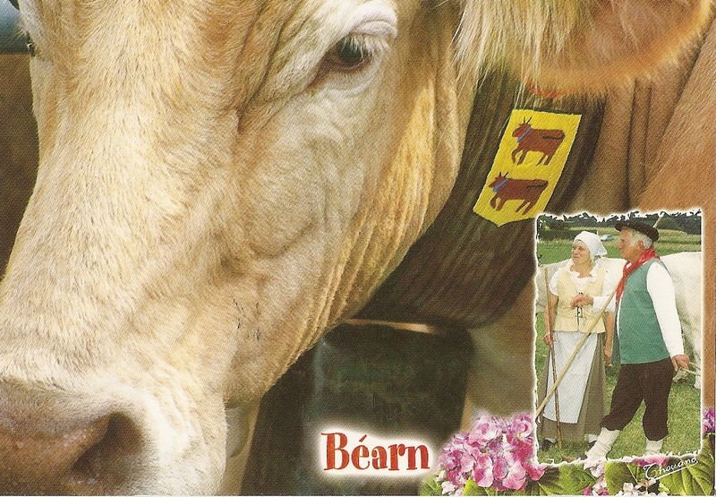 Du Béarn