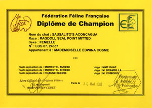 diplome_champion_cyiane