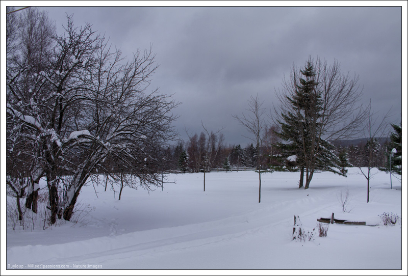 IMG_0894-1-2