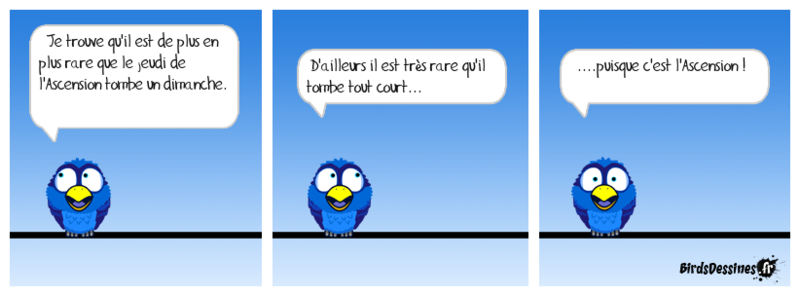 dorlett_le-jeudi-de-lascension-cest-un-peu-leverest-des-jours-feries_1495695004