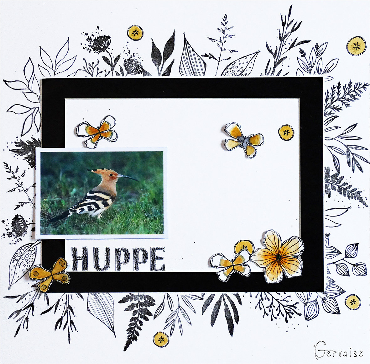 huppe