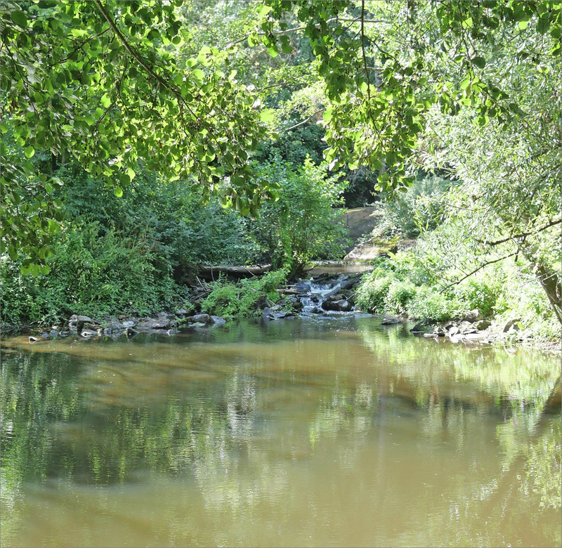 Promenade Argenton Clos oncle Georges 200819 ym 7