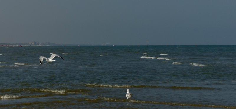 31 aout 2016 la mer (17)