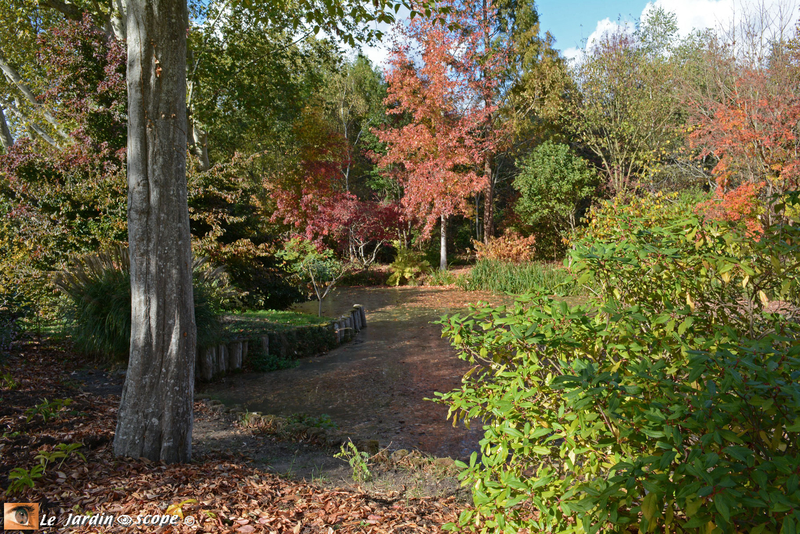 PAT_8996-Berville