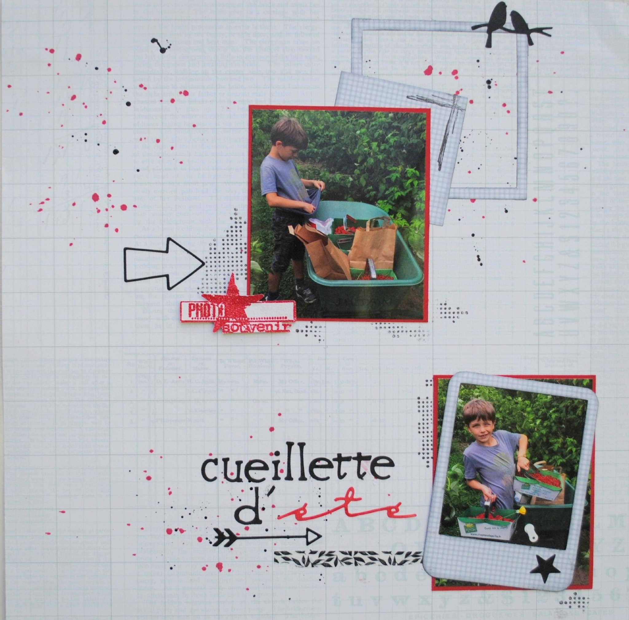 Cueillette d'été