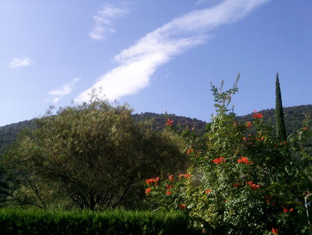 Photo0461