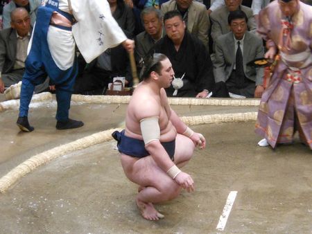 sumo - mai 2012 039