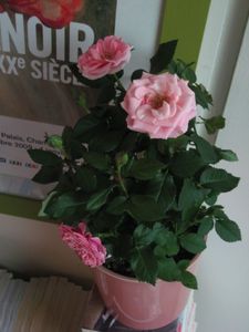 Photo 65827