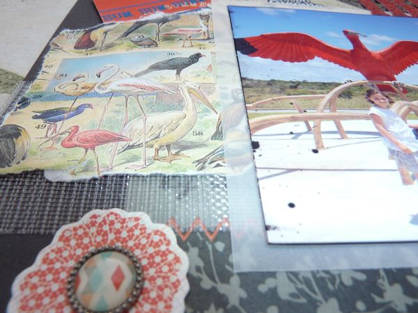 15bis - Détail Page Aux ibis rouges - 04 septembre 13