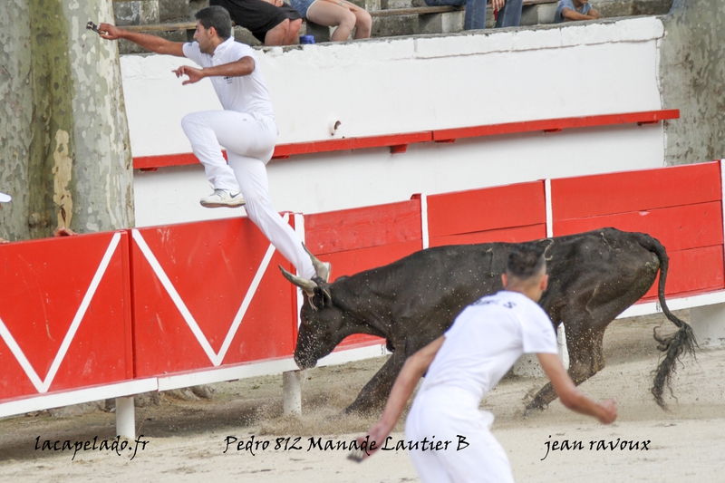 photos chateaurenard le 8 07 201420140710002398