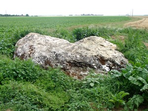 Dolmen_de_la_Pierre_Luteau_2