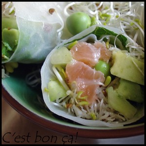Du printemps en rouleaux! recettes entrees Du printemps en rouleaux!