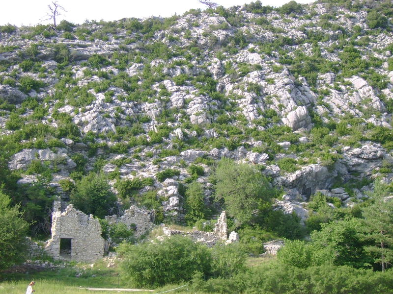 DSC06146