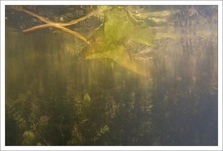Charente_sous_niveau_eau_essai_2