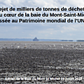 Pétition contre la dernière COCHONNERIE BRETONNE: Transformer la baie du <b>Mont</b>-<b>Saint</b>-<b>Michel</b> en déchetterie à moules!!!