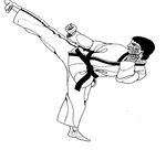 Taekwondo-plaatje2