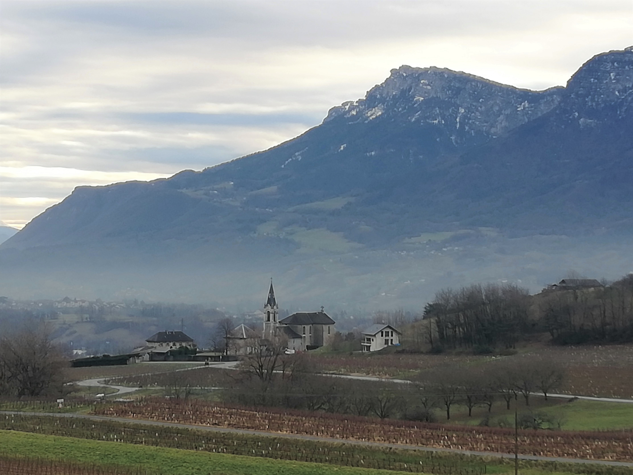 Vignes Chignin 2020 12 17 (11)