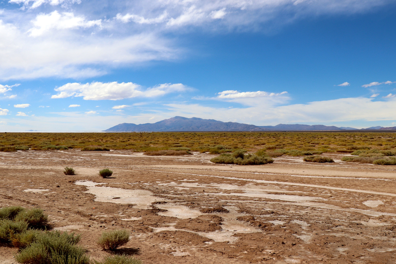 salinas Grandes06