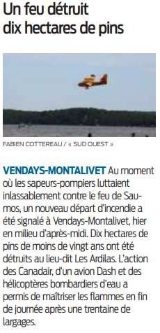 2022 09 14 SO Vendays-Montalivet Un feu détruit dis hectares de pins