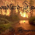 Poudlard-Incendio