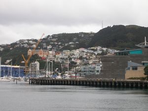 2013-08-12 Wellington (20)