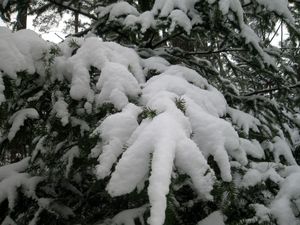 hiver_2009024