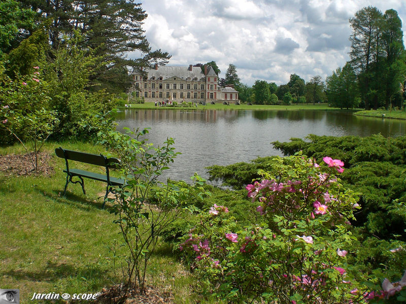 Banc au Domaine de Courson