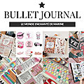 BULLET <b>JOURNAL</b> | FÉVRIER 2023